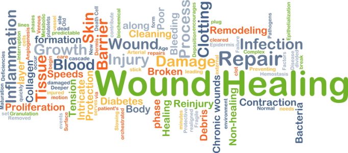 Diary of a Wound Healing